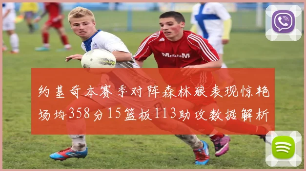 约基奇本赛季对阵森林狼表现惊艳场均358分15篮板113助攻数据解析